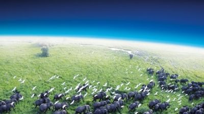 Planet Earth 1.Sezon 2.Bölüm izle