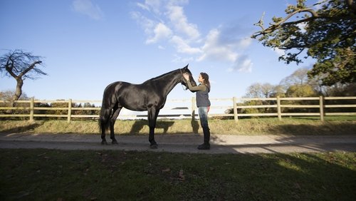 Free Rein 2.Sezon 9.Bölüm izle