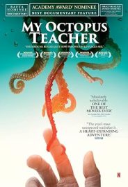 Ahtapottan Öğrendiklerim izle