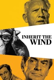 Rüzgârın Mirası izle